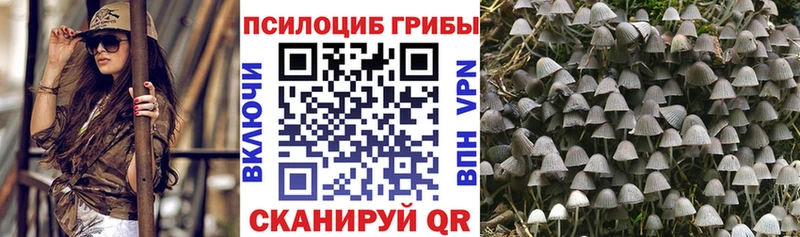Галлюциногенные грибы мицелий что такое наркотик Белый